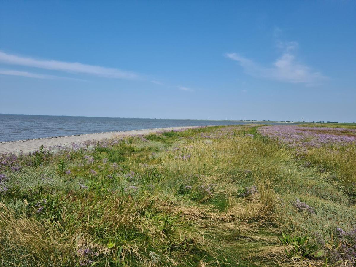 Haus Vier Pfoten - Hundefreundliches Ferienhaus An Der Nordsee Villa Schweiburg Ngoại thất bức ảnh