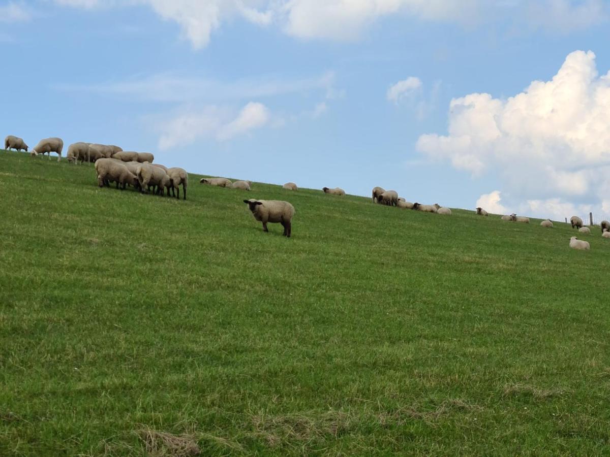 Haus Vier Pfoten - Hundefreundliches Ferienhaus An Der Nordsee Villa Schweiburg Ngoại thất bức ảnh